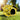 PawVilla Outdoor Yellow Cactus – Αδιάβροχο Αναδιπλούμενο Σπιτάκι Εξωτερικού Χώρου
